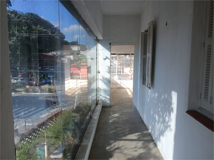 Foto REO1069039