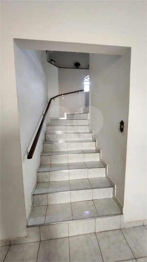 Foto REO1069052