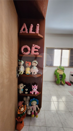 Foto REO1069052