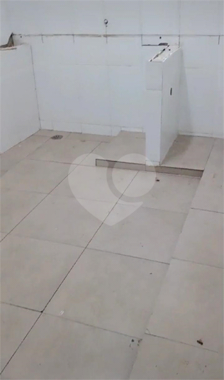 Foto REO1069076