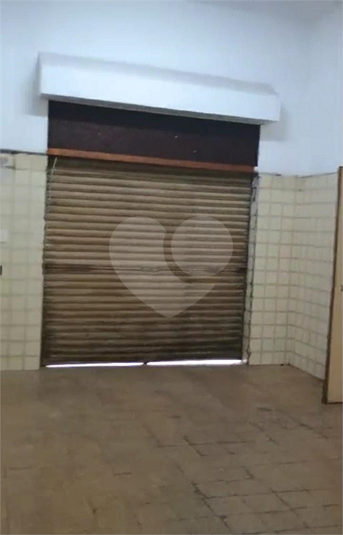Foto REO1069076