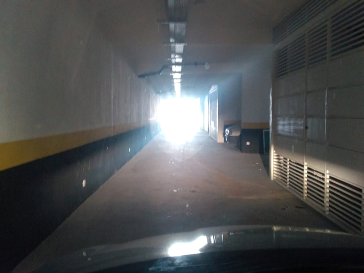 Foto REO1069079