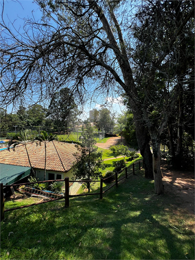 Foto REO1069088