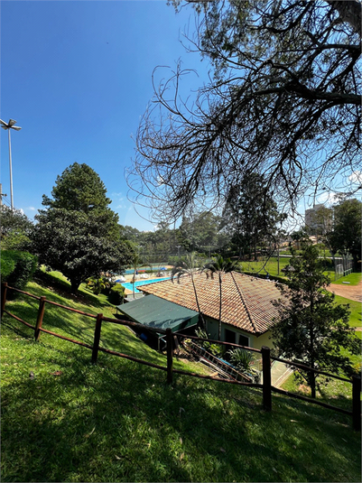 Foto REO1069088
