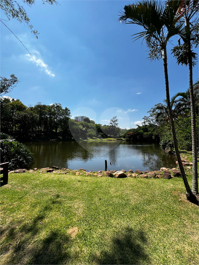 Foto REO1069088