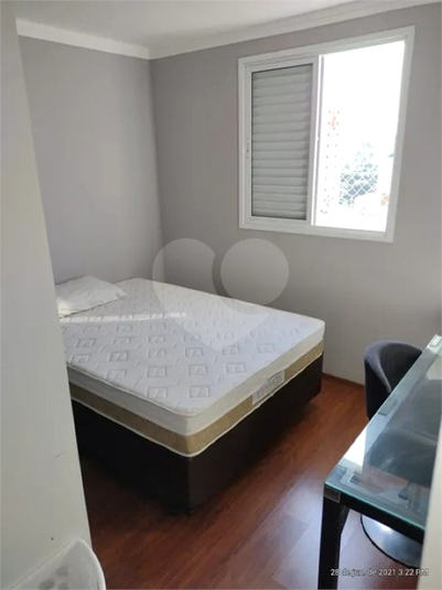 Foto REO1069107