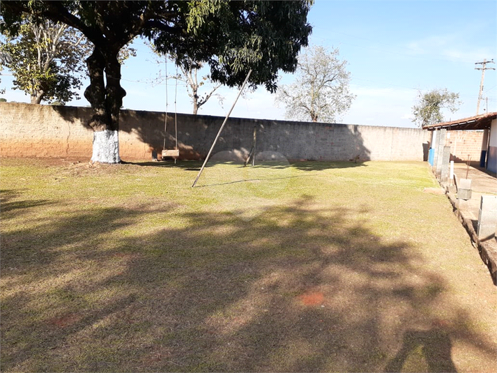 Foto REO1069110