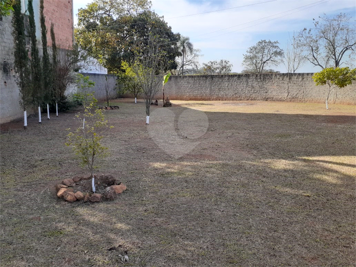 Foto REO1069110