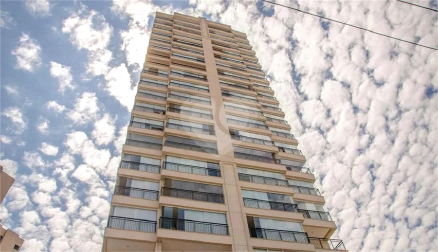 Foto REO1069113