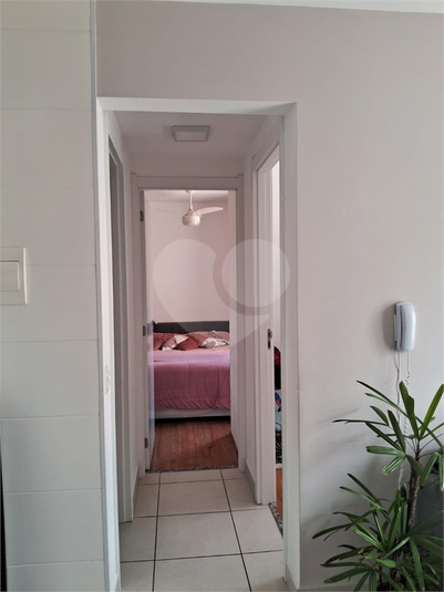 Foto REO1069124