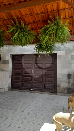 Foto REO1069127