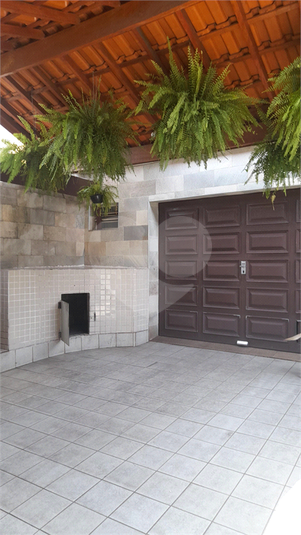 Foto REO1069127
