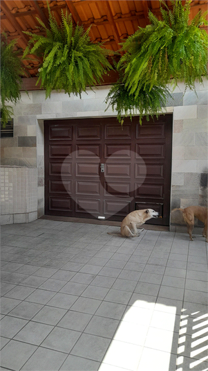 Foto REO1069127