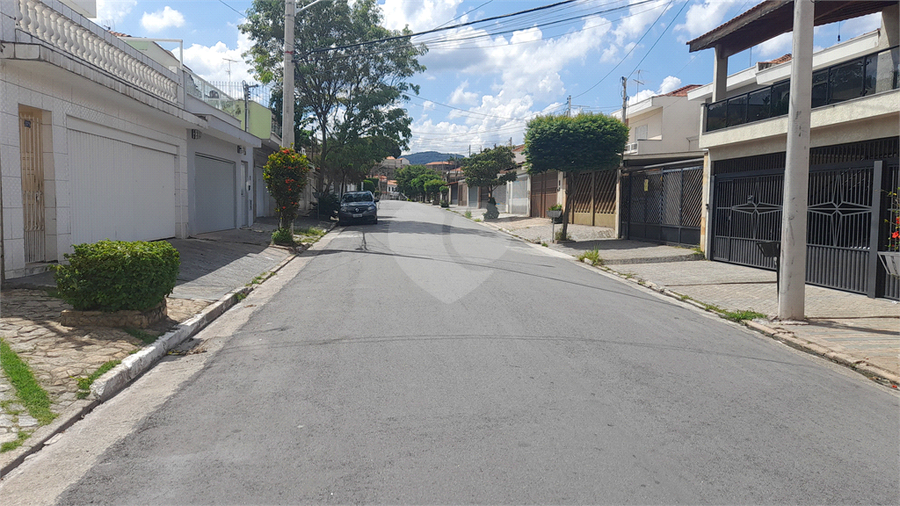 Foto REO1069127