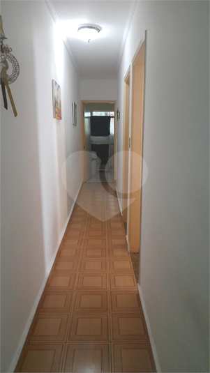 Foto REO1069127