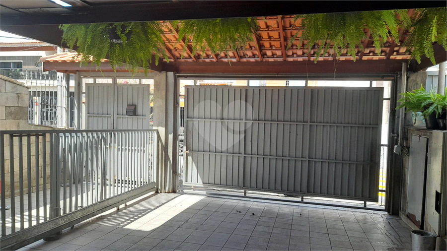 Foto REO1069127