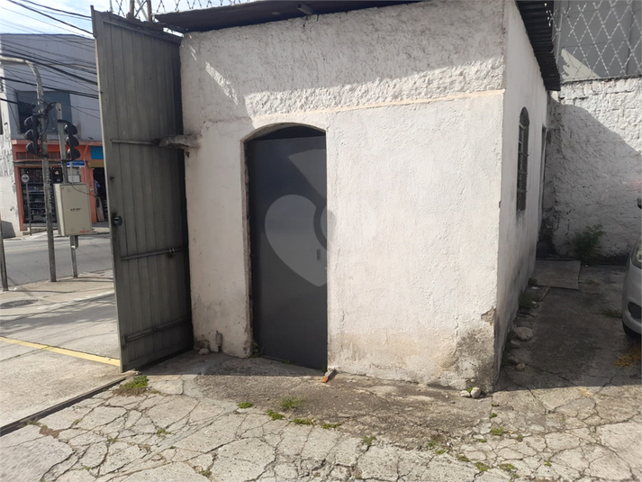 Foto REO1069129
