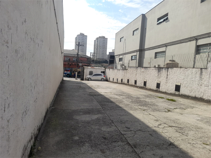 Foto REO1069129
