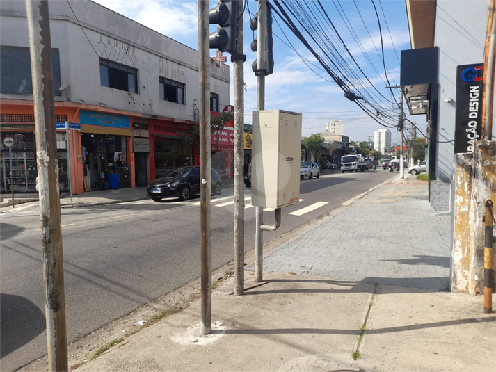 Foto REO1069129
