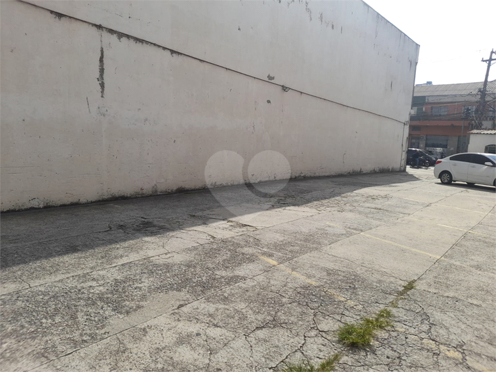 Foto REO1069129