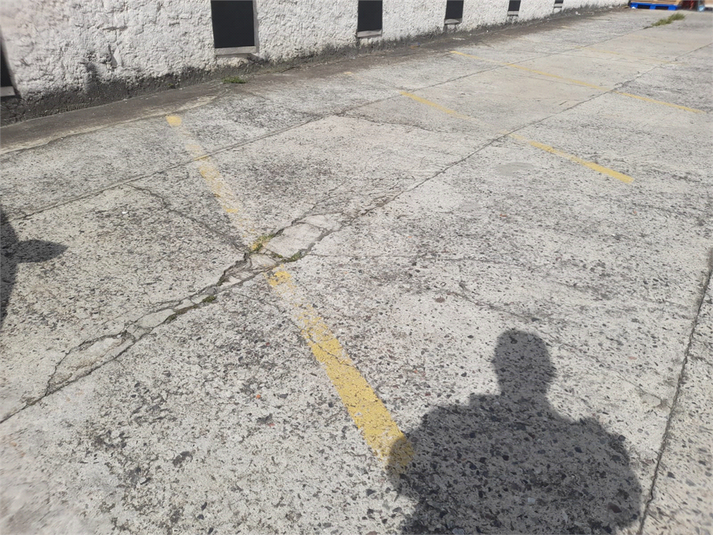 Foto REO1069129