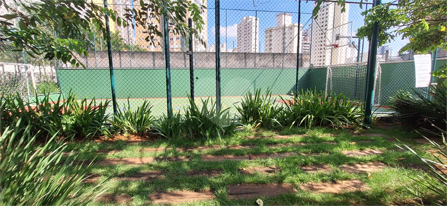 Foto REO1069132