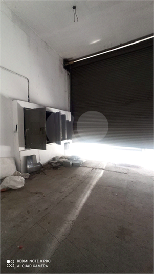 Foto REO1069161