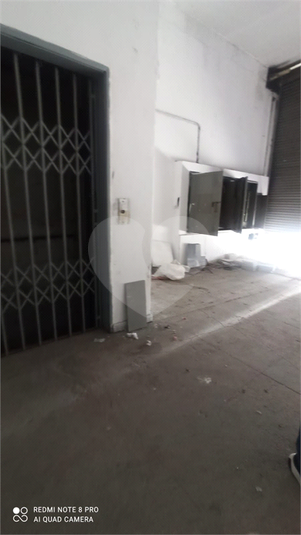 Foto REO1069161