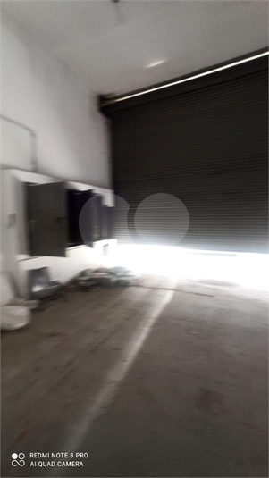 Foto REO1069161