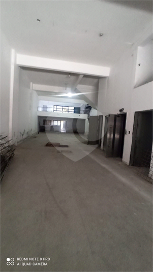 Foto REO1069161