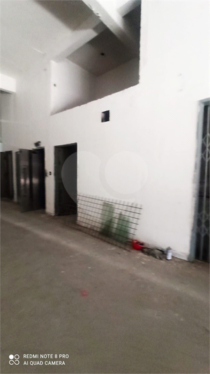 Foto REO1069161