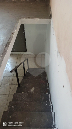 Foto REO1069161
