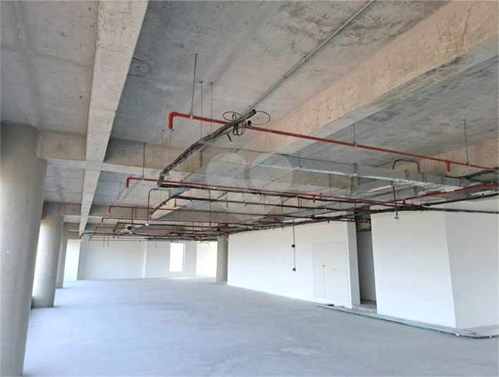 Foto REO1069167