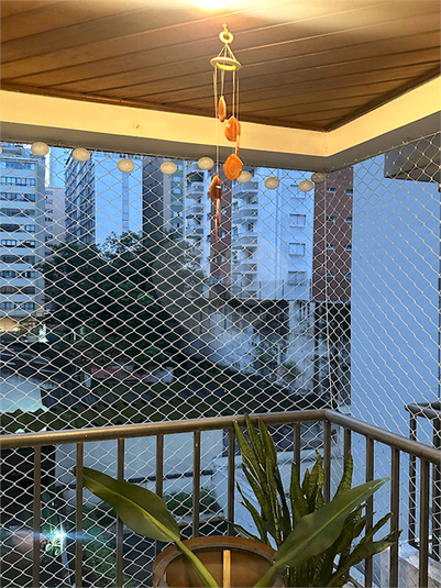Foto REO1069178