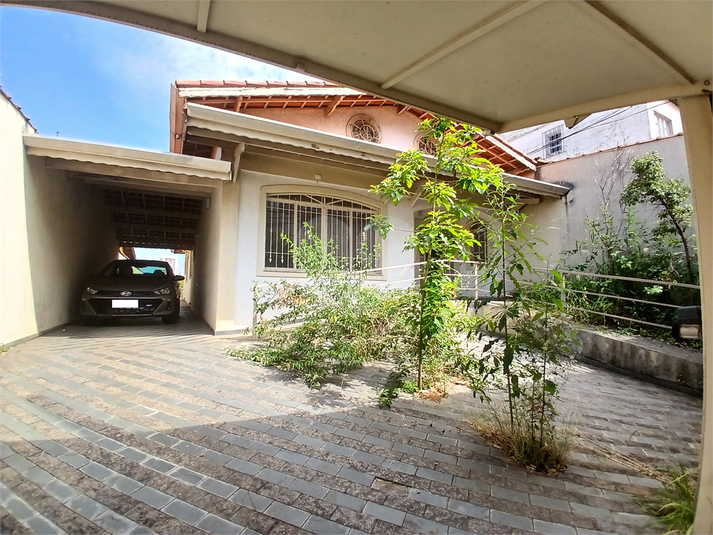 Foto REO1069184