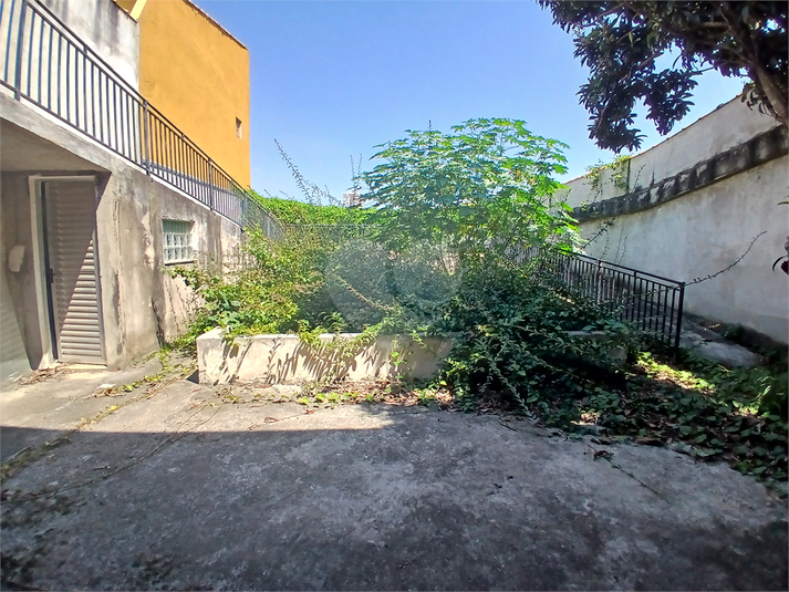 Foto REO1069184