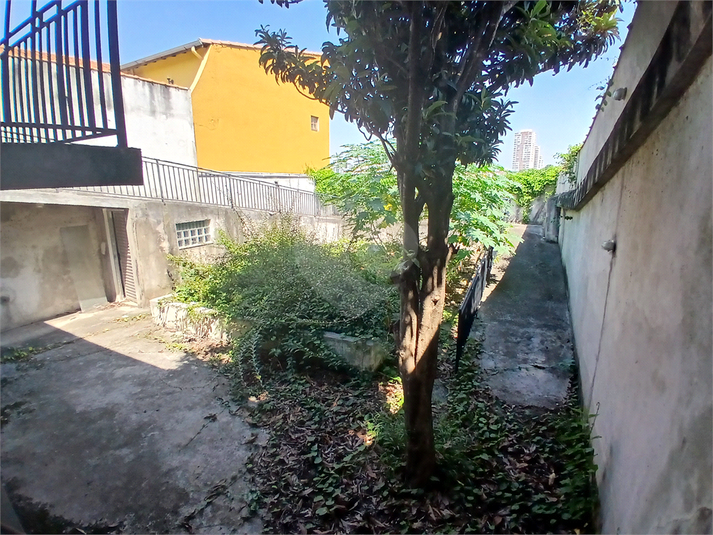 Foto REO1069184
