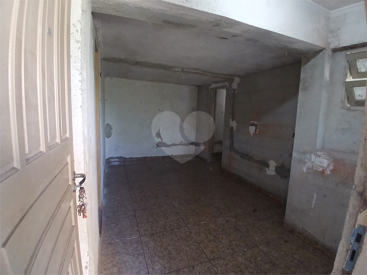 Foto REO1069184