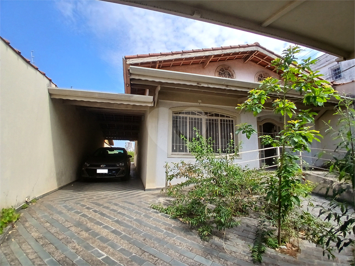 Foto REO1069184