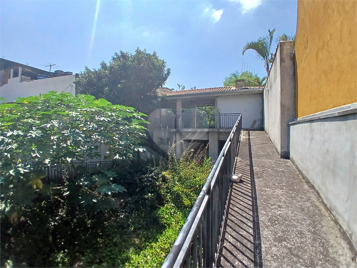 Foto REO1069184