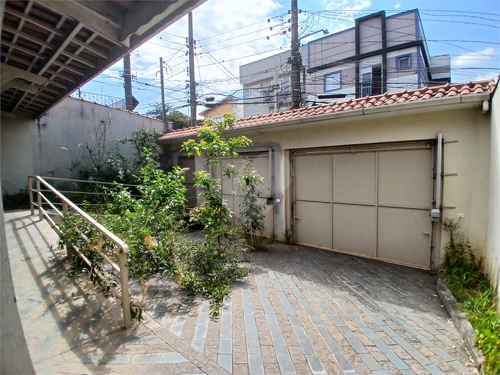 Foto REO1069184