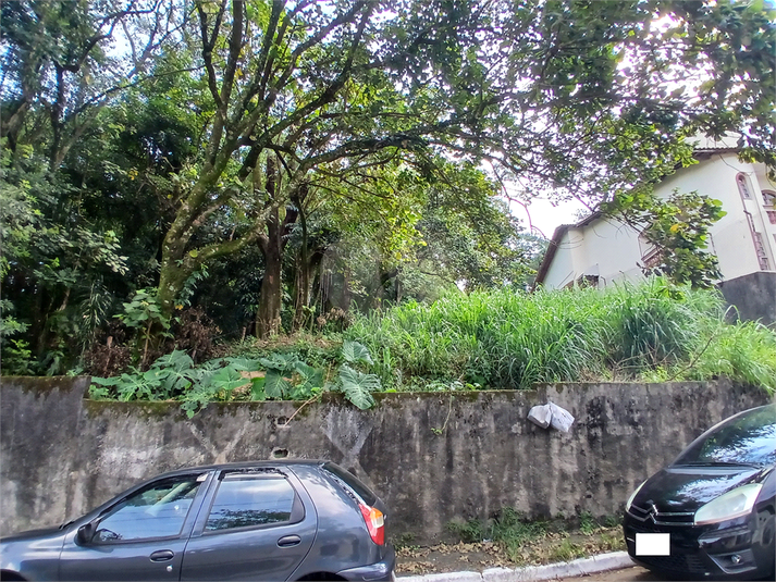 Foto REO1069186