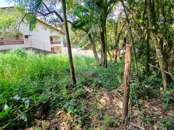 Foto REO1069186