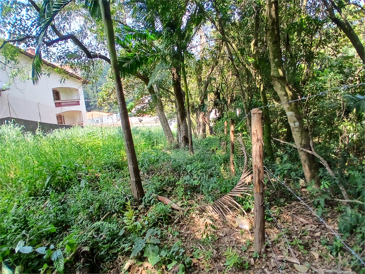 Foto REO1069186