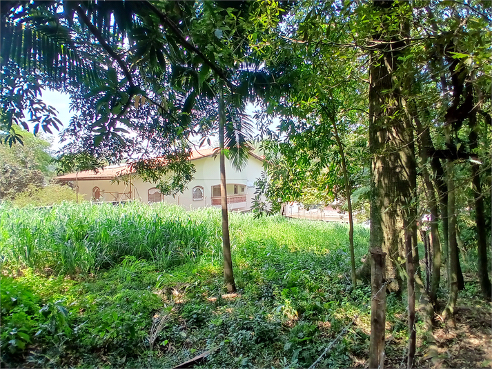 Foto REO1069186