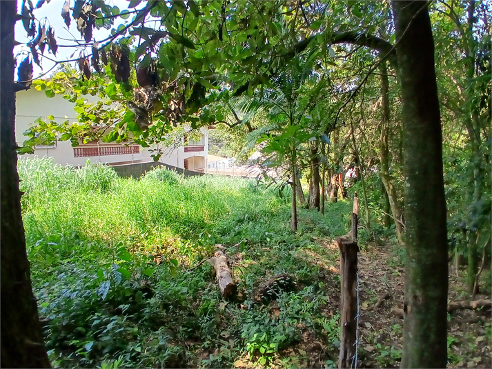 Foto REO1069186