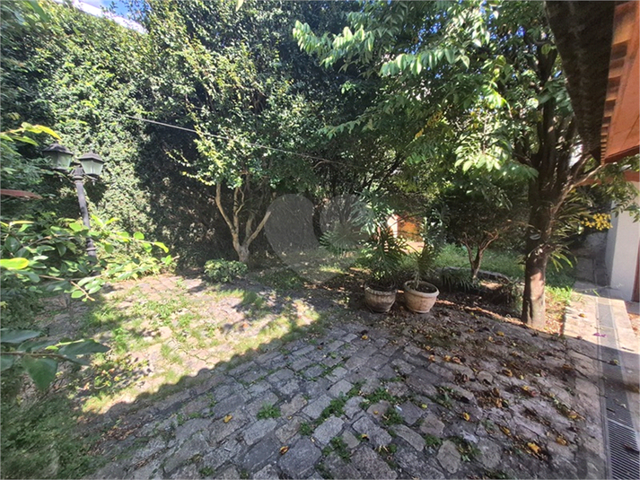 Foto REO1069202
