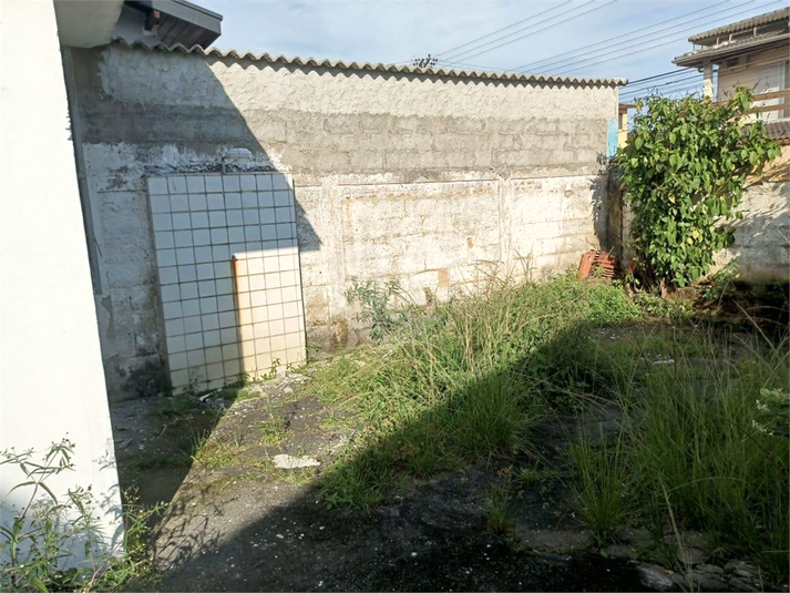 Foto REO1069261