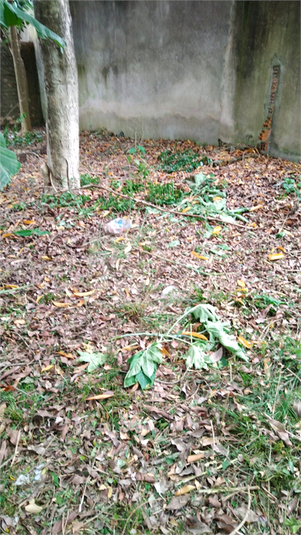 Foto REO1069303