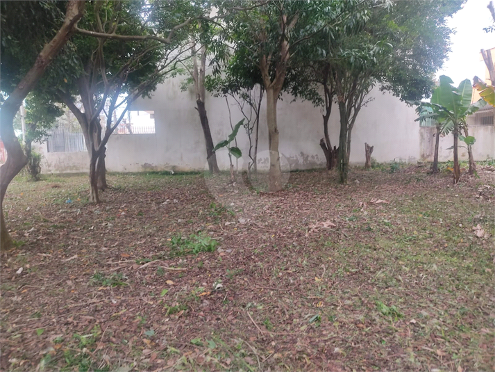 Foto REO1069303